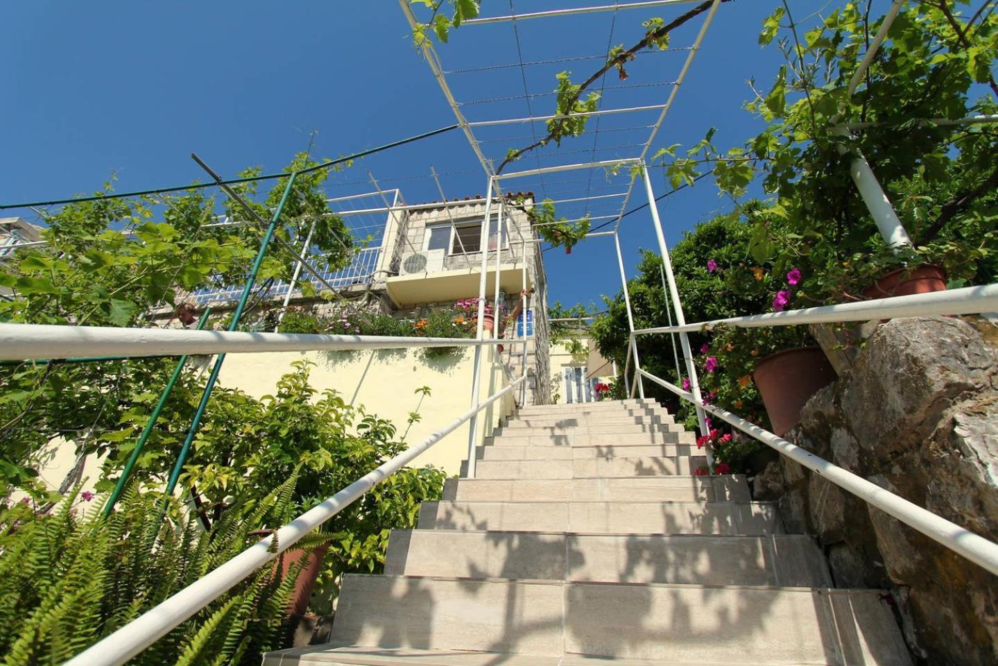 Apartments Cervelin Lopud Exterior photo